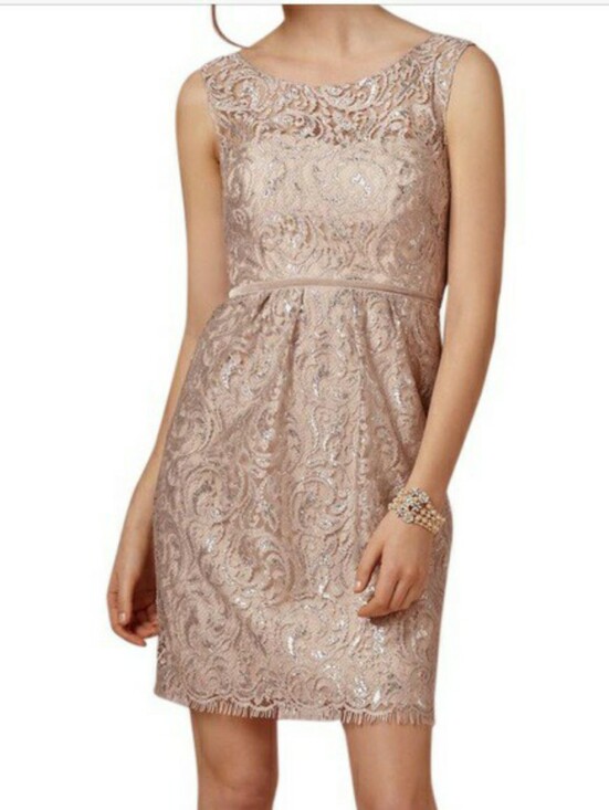 Jenny Yoo Dresses & Skirts - Jenny Yoo Harlow Metallic Bridesmaid Cocktail Lace Short Dress Size 10 Sandstone